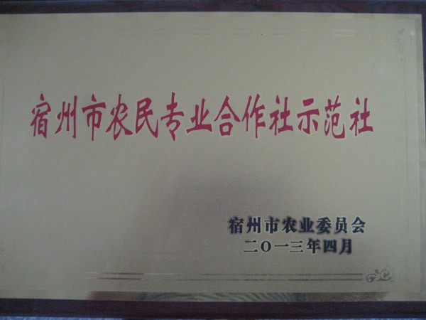 宿州市农业专业合作社示范班