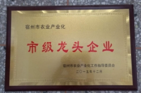 市级龙头企业